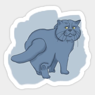 British cat. Sad cat. Sticker